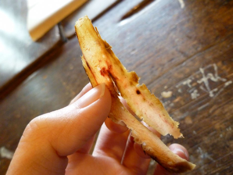 七星柴鱼博物馆 摄影：陳皮梅