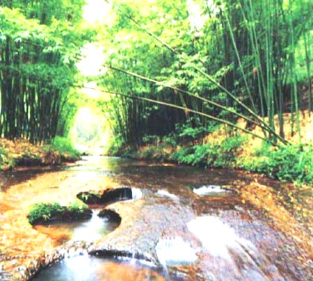 墨溪 攝影：四川旅遊信息網