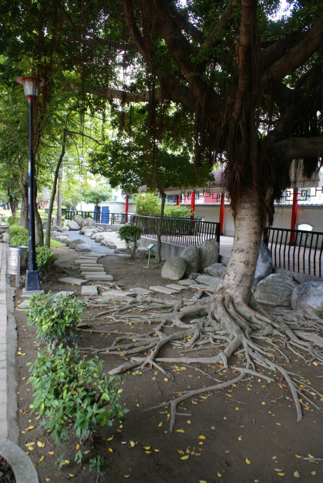 石雕公園 攝影：Eva隨手拍