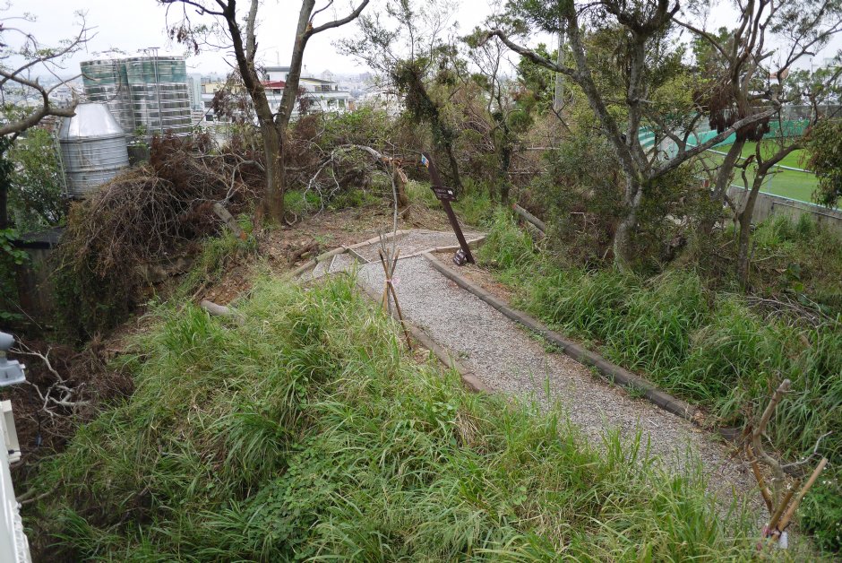 八卦山舊步道 攝影：旅遊王攝影組