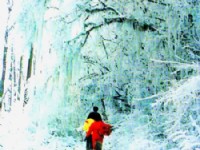 雪景<br/> 攝影：四川旅遊信息網