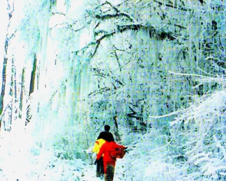 雪景 攝影：四川旅遊信息網