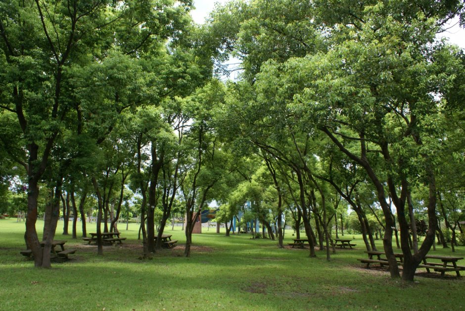 知卡宣森林公園 攝影：Eva隨手拍