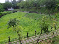 公園內步道<br/> 攝影：Eva隨手拍