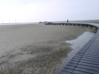 高美濕地2015<br/> 攝影：旅遊王攝影組