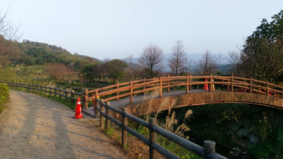 大坑溪三生步道 攝影：Eva隨手拍