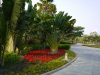 凹仔底森林公園複層式植栽區<br/> 攝影：旅遊王攝影組