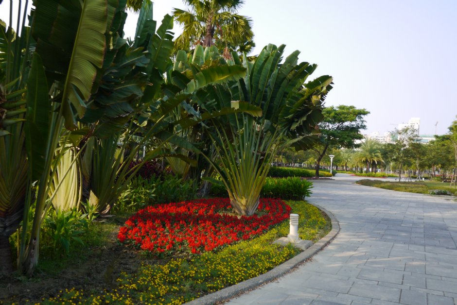 凹仔底森林公園複層式植栽區 攝影：旅遊王攝影組