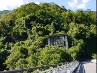 武陵綠色隧道<br/> 攝影：旅遊王攝影組