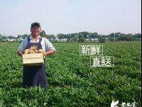 地瓜園<br/> 攝影：瓜瓜園 提供