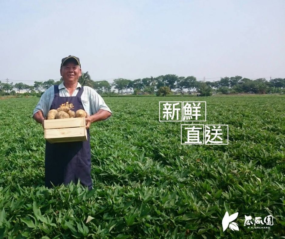 地瓜園 攝影：瓜瓜園 提供