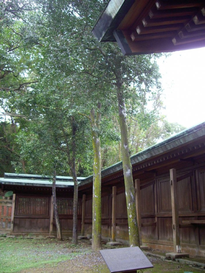 忠烈祠(桃園神社) 攝影：Eva隨手拍