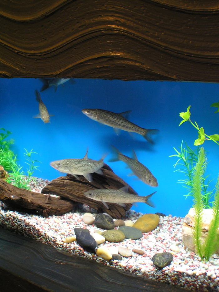 上海海洋水族館 攝影：陳銘祥