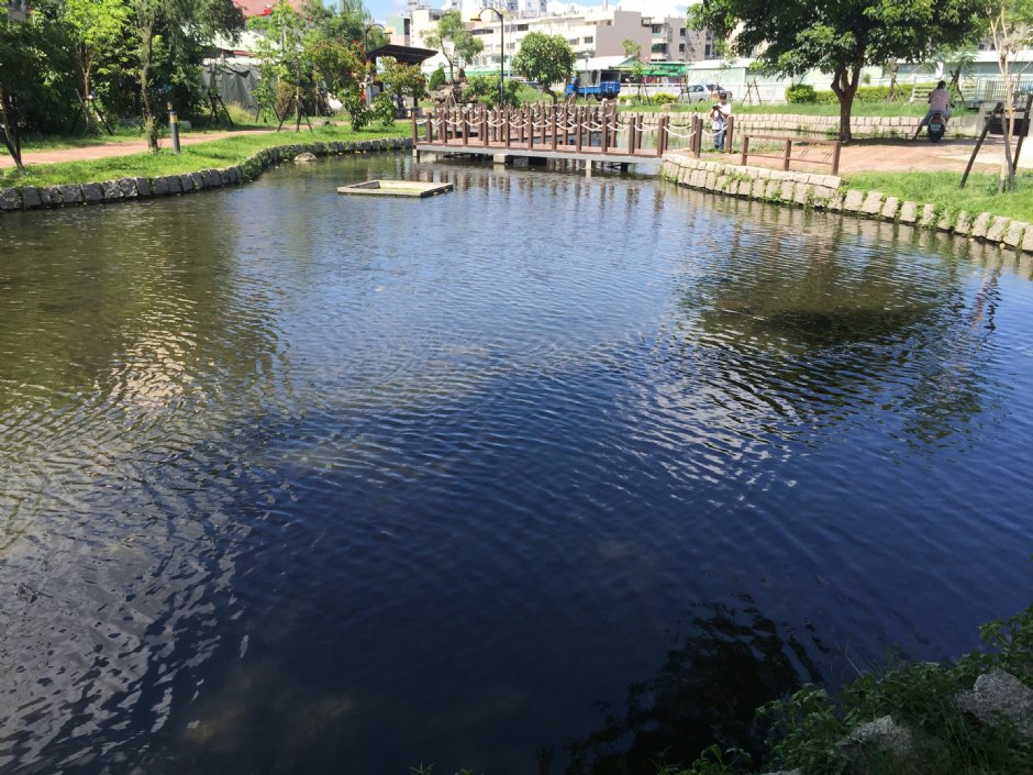 大東濕地公園 攝影：旅遊王攝影組