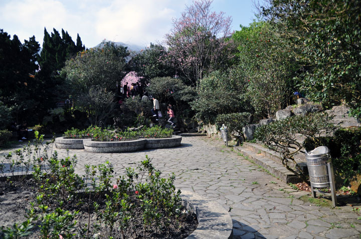 陽明公園 攝影：amo