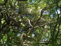 鶯山森林文化博物館<br/> 攝影：Lu