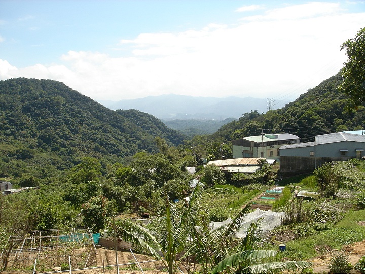 白石湖地区 摄影：陳美吟