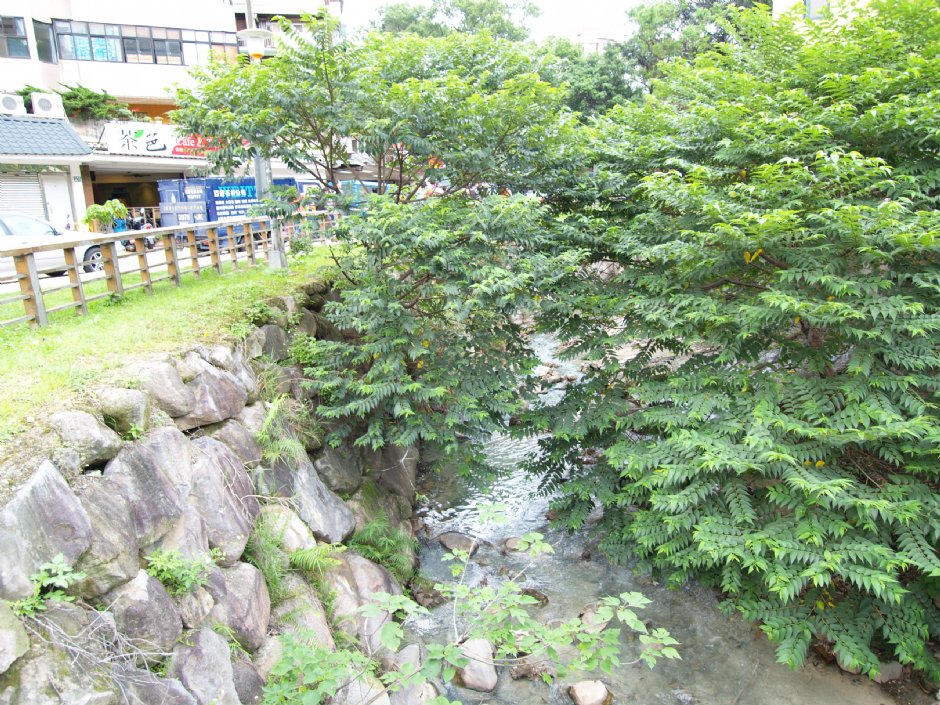 熱泉小溪 攝影：簡時強