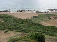 海岸線景觀<br/> 攝影：老山羊部落格