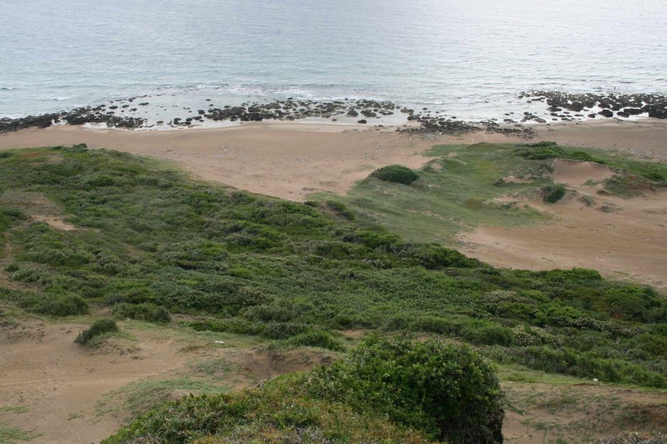 海岸線景觀 攝影：老山羊部落格