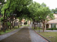 美式住宅區旁風景<br/> 攝影：老山羊部落格