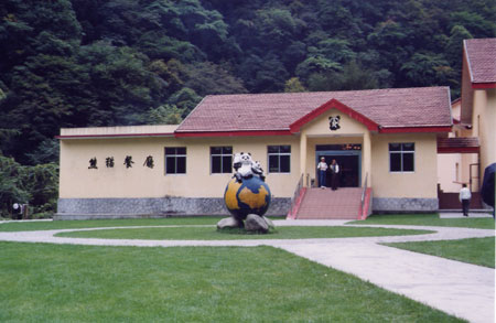 臥龍熊貓餐廳 攝影：台灣中國旅行社