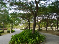 凹仔底森林公園徒步休憩空間<br/> 攝影：旅遊王攝影組