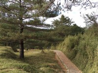 鹿林山<br/> 攝影：Lu