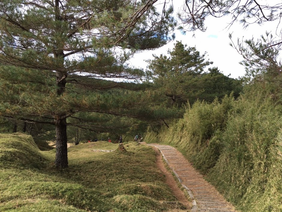 鹿林山 攝影：Lu