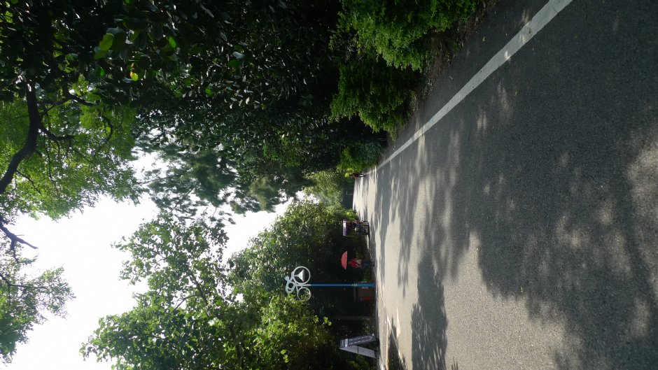 新屋綠色走廊自行車道 攝影：Eva隨手拍