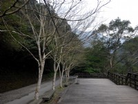 滿月圓<br/> 攝影：Lu
