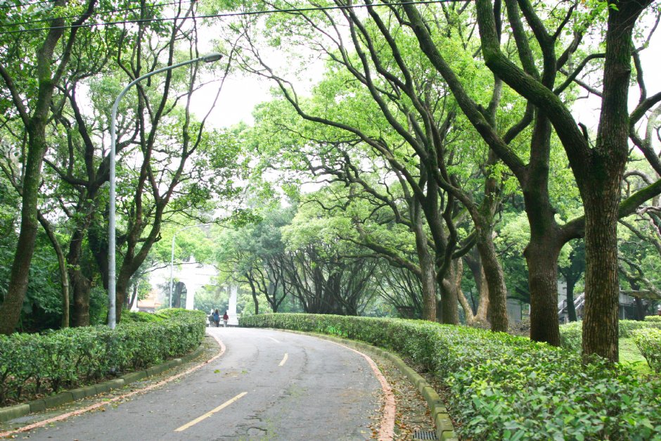 忠烈祠綠色隧道 攝影：簡時強