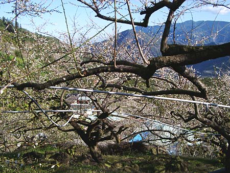 風櫃斗-02 攝影：林文智