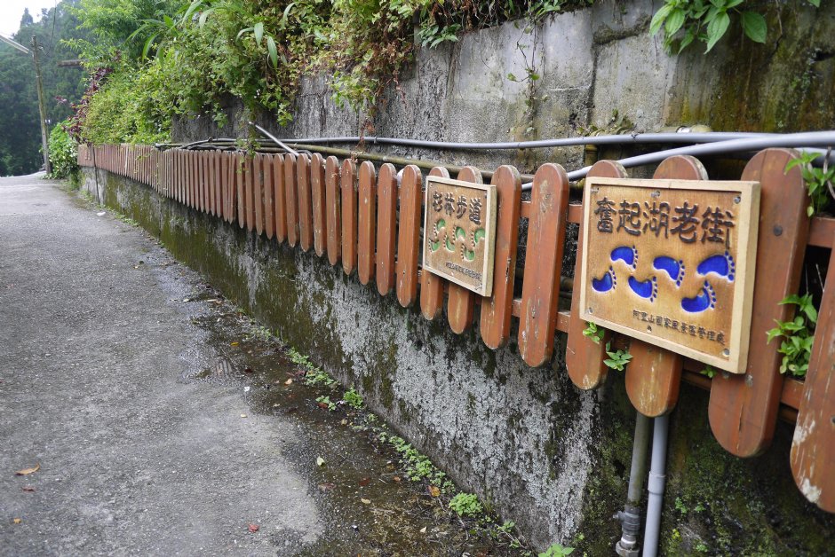 201407奮起湖山林步道 攝影：三個井