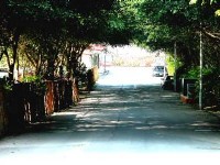 水沙連古道一景<br/> 攝影：南投縣政府