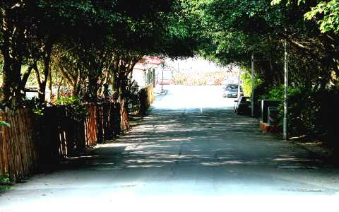水沙連古道一景 攝影：南投縣政府