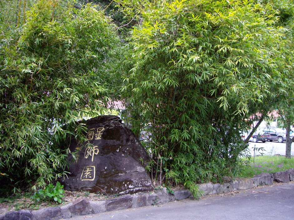 武陵農場 攝影：Eva隨手拍