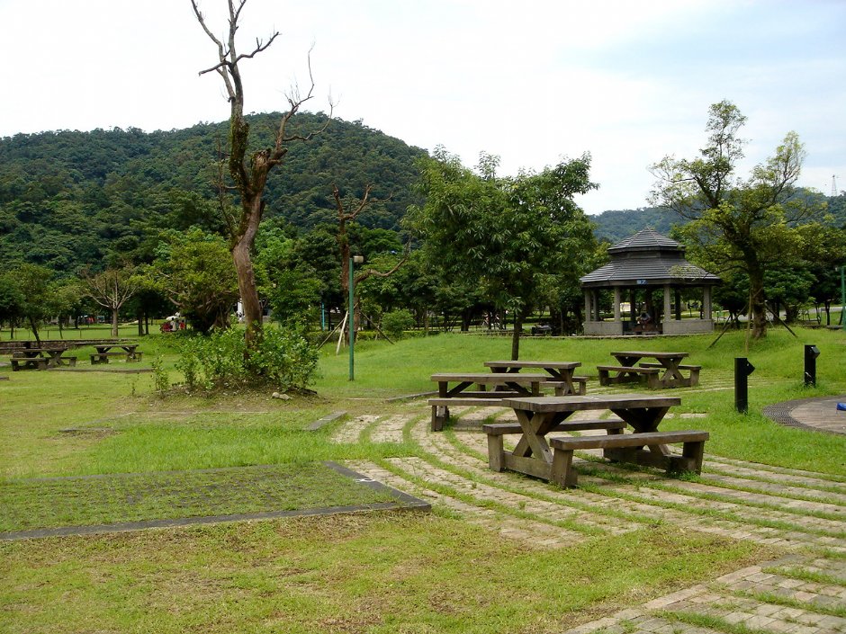 樂活綠森林 攝影：余燕鳳
