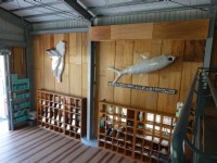虱目魚主題館<br/> 攝影：虱目魚主題館 提供