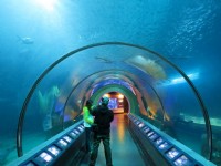 澎湖水族館海洋隧道<br/> 攝影：澎湖水族館