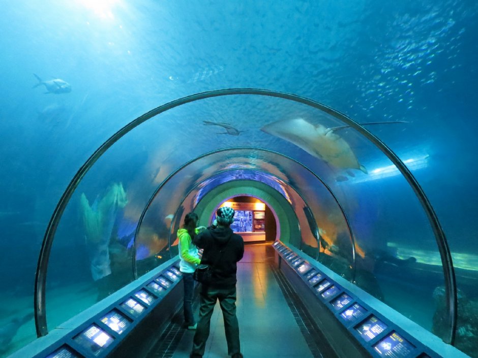 澎湖水族館海洋隧道 攝影：澎湖水族館