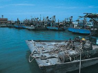 四湖鄉萡子寮濱海遊憩區<br/> 攝影：雲林縣政府