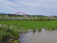 五十二甲湿地<br/> 摄影：Eva隨手拍