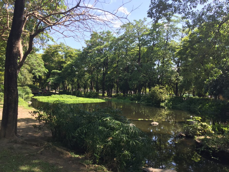 大東濕地公園 攝影：旅遊王攝影組