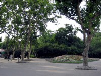 園內風景<br/> 攝影：李俊