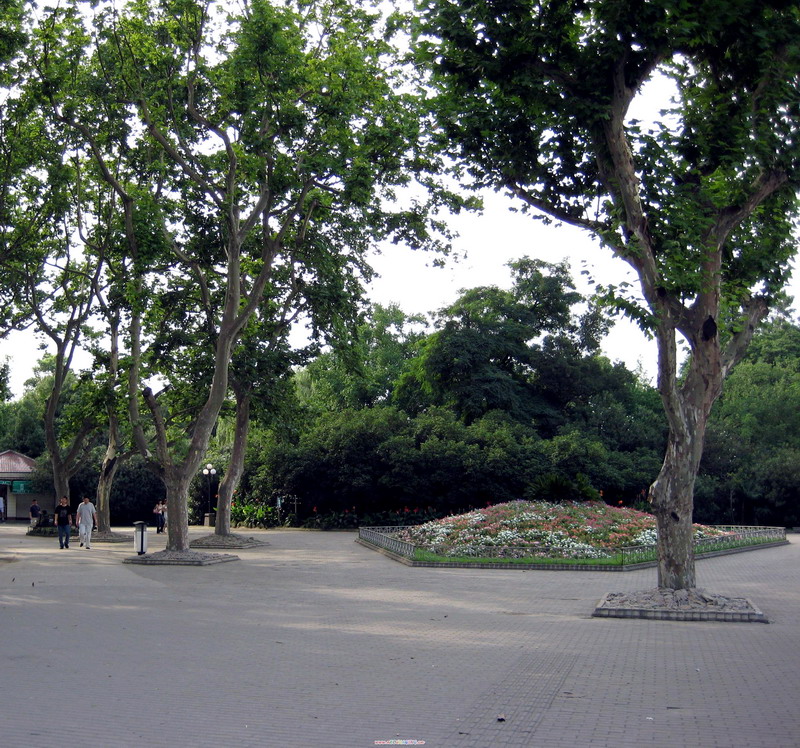 園內風景 攝影：李俊