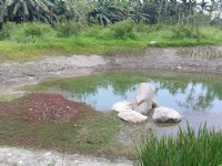 拉索埃湧泉生態園區<br/> 攝影：Eva隨手拍