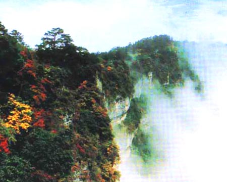 山之秋色 攝影：四川旅遊信息網