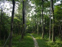 獅山步道<br/> 攝影：三井