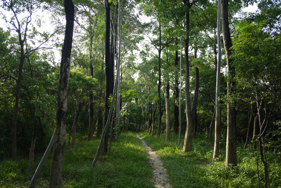 獅山步道 攝影：三井